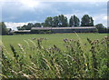 Field south of Mill Road, just west of Mendlesham village