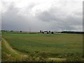 Farm across the Fields near Acklington