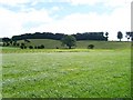 NY5361 : Fields below Brampton Ridge by Rose and Trev Clough