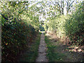 Footpath at West Mill