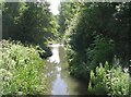 Roundwood Beck - Albany Road, Kirkheaton