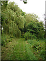 Footpath to Cadwell