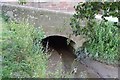 Bridge Over A Stream