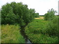 River Ise - looking downstream