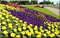 Flower beds at Whiteabbey