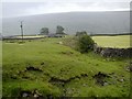 Green Lane to Turnip House