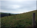 Distant Pen Dinas