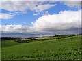 Farmland, Brightwalton