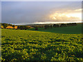 Farmland, Brightwalton