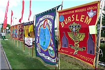 SY7894 : Tolpuddle Martyrs Festival 2008 by Nigel Mykura