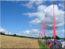 SY7894 : 2008 Tolpuddle Festival by Nigel Mykura