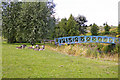 Canada Geese by ornamental lake, Friern Park Trading Estate