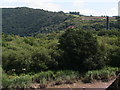 Mine and brickworks chimneys at Maddacleave Wood