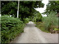 Vicarage Lane, Burton