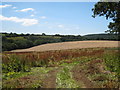 Field at Tolvan Cross