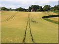 Farmland, Saunderton