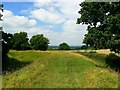 Ringsbury Camp, near Purton