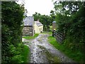 Lane leading to Cefnos farm and holiday cottages