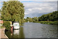 River Avon at Wyre Piddle