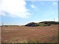 Grassland and Pre-Cambrian rock outcrops