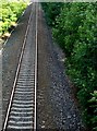 Railway Cutting, Frampton