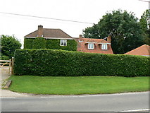 SU6559 : Village House & Hedge by Mr Ignavy