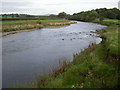 SD7037 : River Ribble and Mitton Wood by Peter Bond
