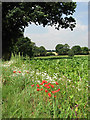 Fields by Oaks Farm