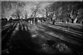 NH7544 : Clava cairns, infra-red by djmacpherson
