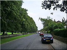 SD7431 : Grange Street, Clayton-le-Moors by Alexander P Kapp