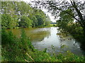 Pond near Frogmore