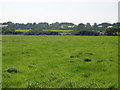 Fields with houses in distance