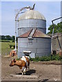 Silo at Goldstone Farm