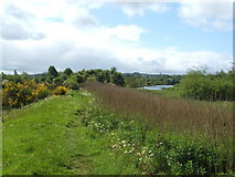 NS3976 : Footpath on eastern bank of the River Leven by Lairich Rig