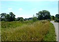 Doxey Marshes