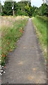 Footpath heading NE down into Ashdon