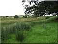 Bridleway north of Bwlch-Llan, Ceredigion