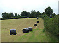 Hay bales west of Llangeitho, Ceredigion