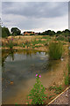 Pond on Long Lane Pasture