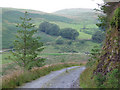 SN7053 : Forest road, Cwm Dulas, Ceredigion by Roger  D Kidd