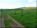 Isolated gateposts near Bankend farm