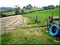 Fields above Llanfair Caereinion.