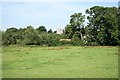 Pasture in Glentworth