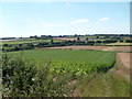 View from Cripple Hill