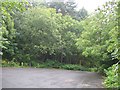 Car park, Polmont  Wood