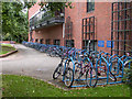 Bicycle racks at Robinson College