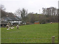 Field near Pen-pontbren