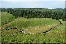 SN7454 : The Doethie Fawr leaves the Berwyn Plantation, Ceredigion by Roger  D Kidd