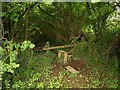 Dodgy stile near South Knighton