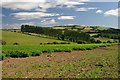 View from the Knockie towards Broad Moss